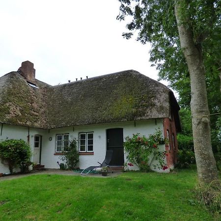Wasserkoog 22 Tetenbull Exterior foto