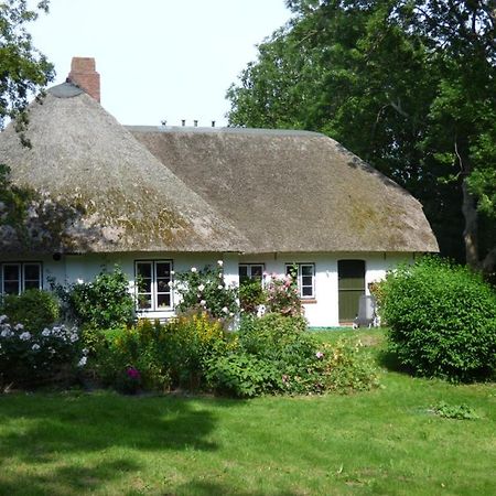 Wasserkoog 22 Tetenbull Exterior foto